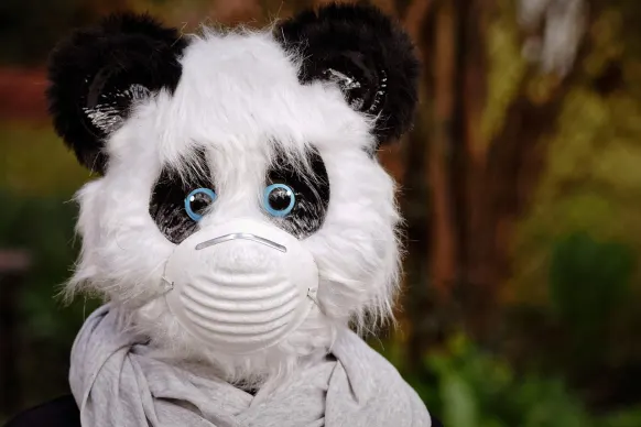 Stay Casino Tacaíocht